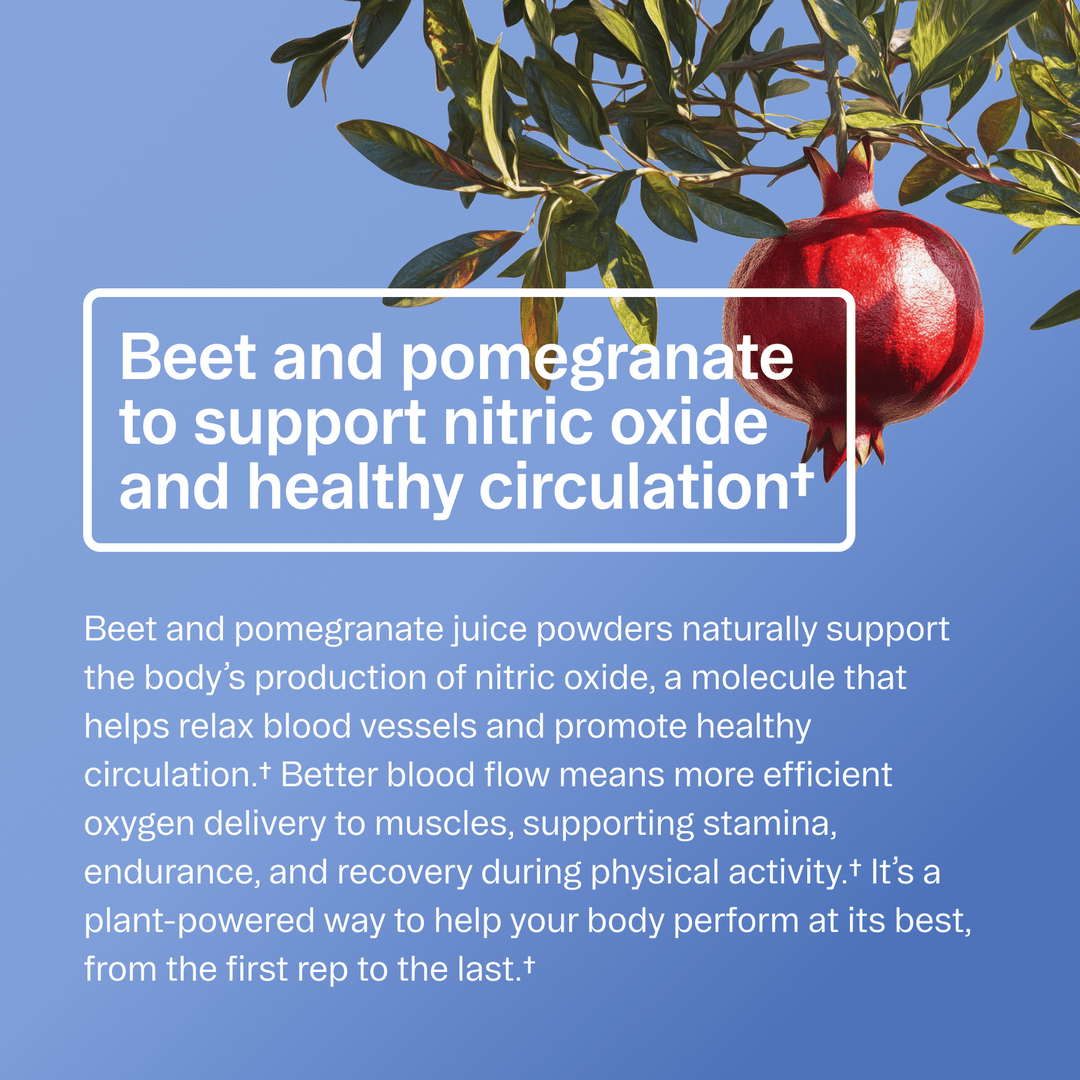 Renewable Energy Pre - Workout Powder | Beet &amp; Pomegranate - Echo Market
