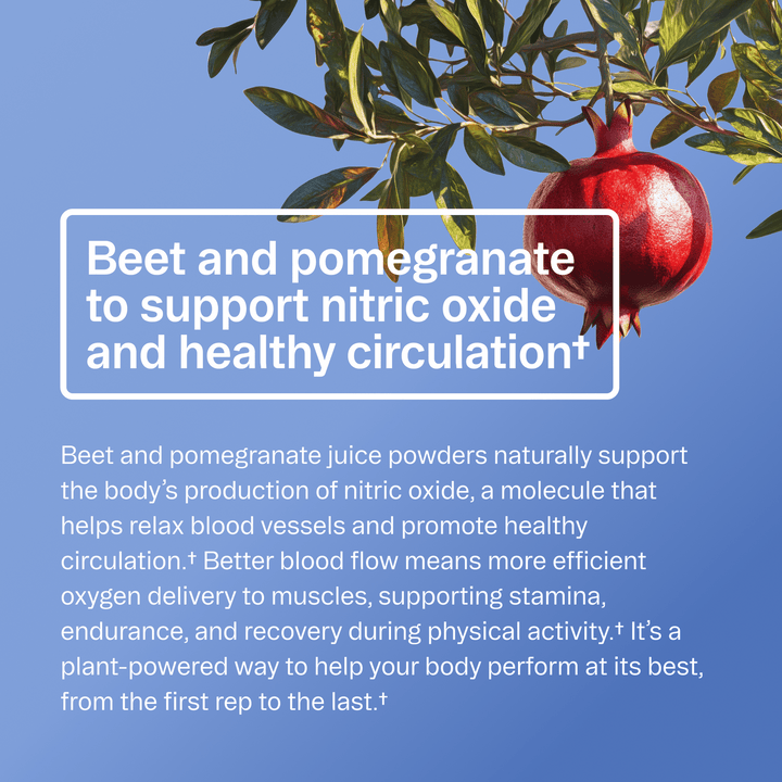 Renewable Energy Pre - Workout Powder | Beet &amp; Pomegranate - Echo Market