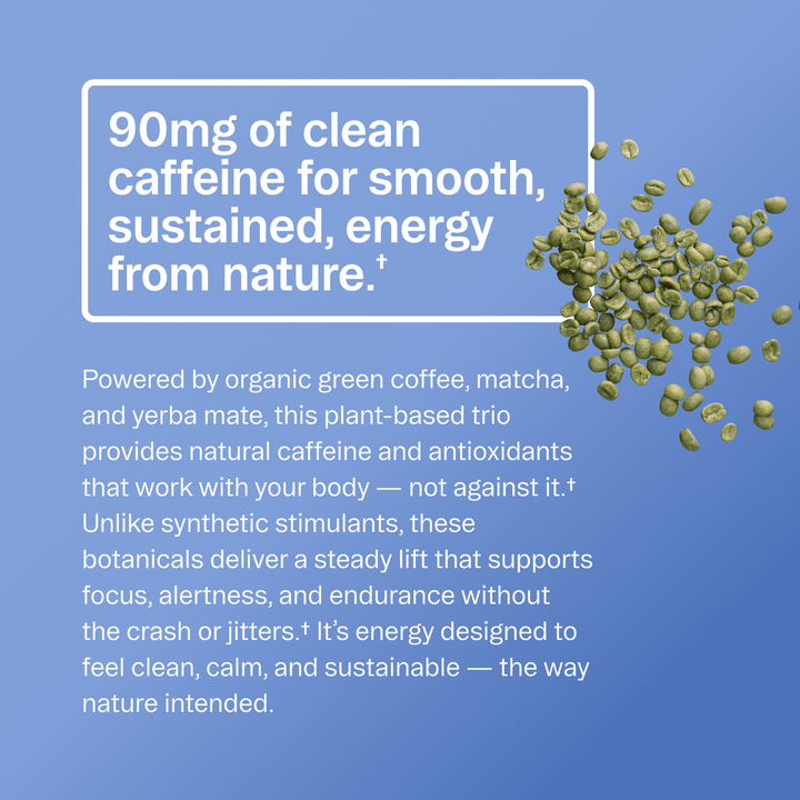 Renewable Energy Pre - Workout Powder | Beet &amp; Pomegranate - Echo Market