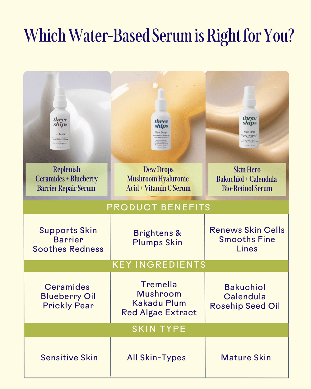 Replenish Ceramides & Blueberry Barrier Repair Serum - Echo Market