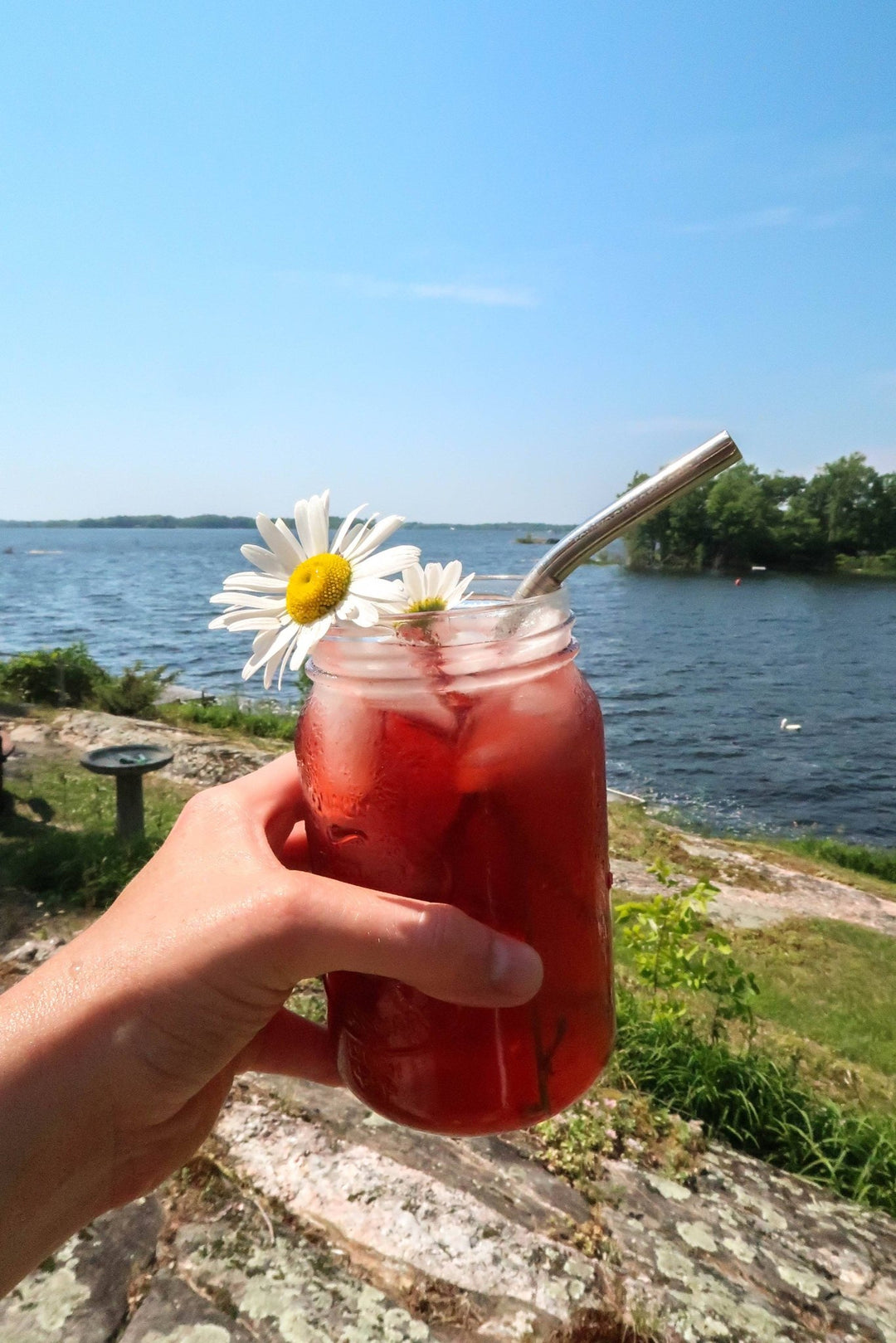 Hand holding a jar of red iced tea with a white daisy and straw against a lakeside background