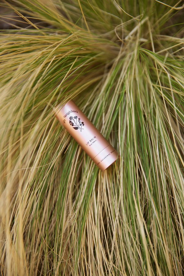 Rose Tallow Lip Balm - Echo Market