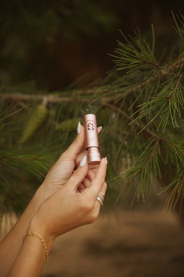 Rose Tallow Lip Balm - Echo Market