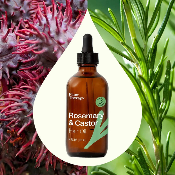 Rosemary & Castor Hair Oil - Echo Market