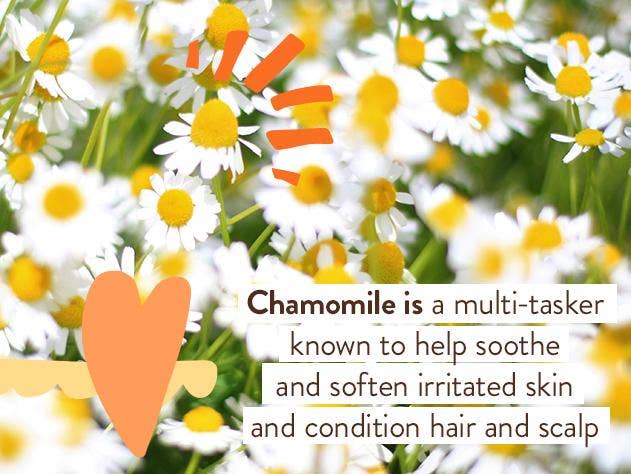 Sensitive Baby Bubble Bath & Wash - Echo Market