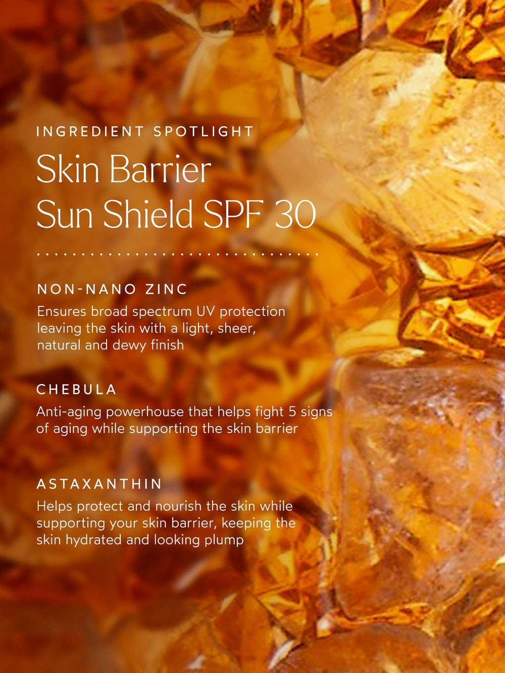 Skin Barrier Sun Shield SPF 30 - Echo Market