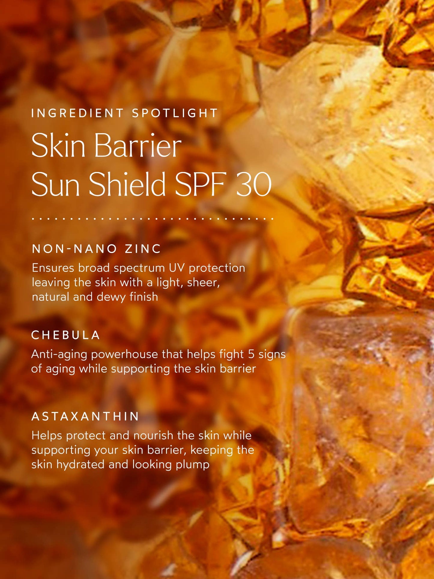 Skin Barrier Sun Shield SPF 30 - Echo Market
