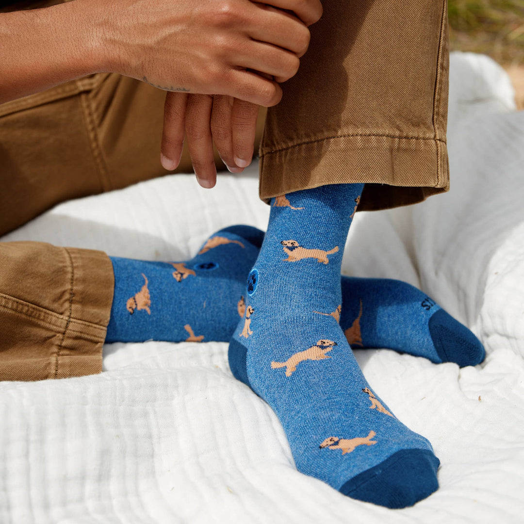 Socks that Save Dogs | Life is Golden - Echo Market