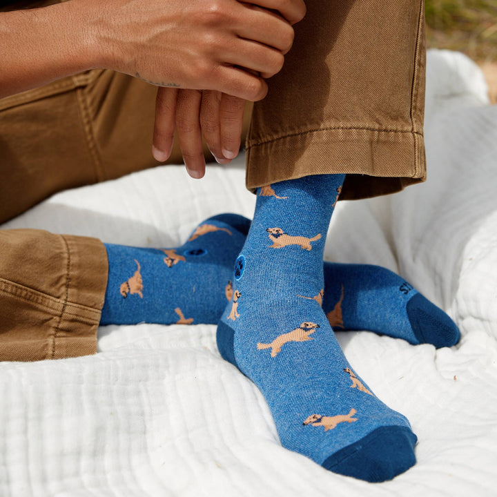 Socks that Save Dogs | Life is Golden - Echo Market
