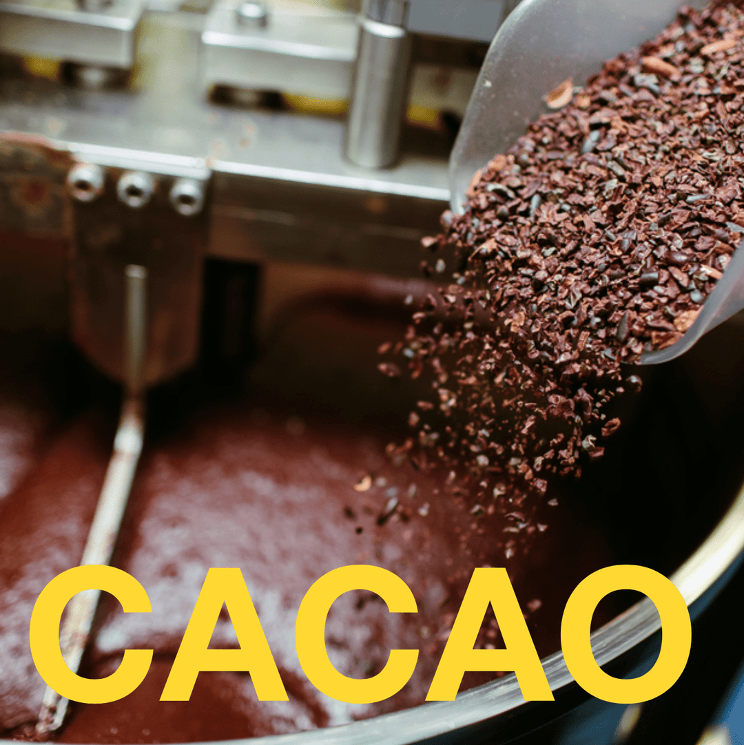 STAY SANE | Adaptogenic Chocolate Bar - Echo Market