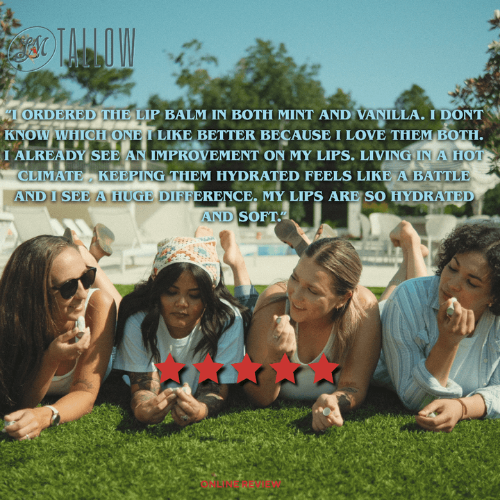 Tallow Lip Balm | Grasshopper Mint - Echo Market