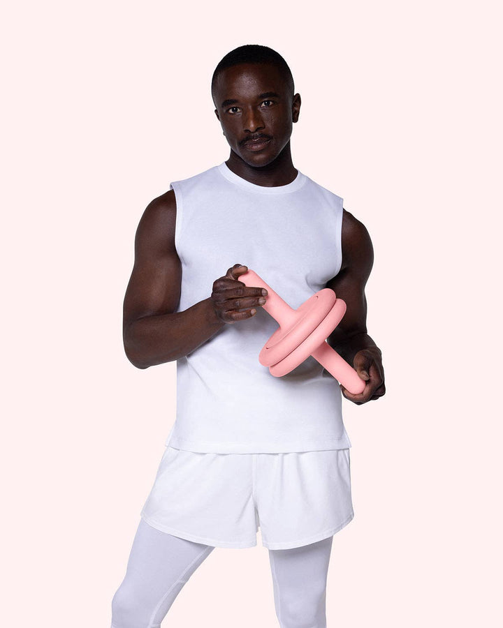 The Ab Roller | Blush - Echo Market