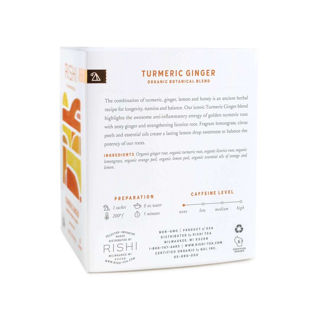 Turmeric Ginger Organic Herbal Tea Sachets - Echo Market