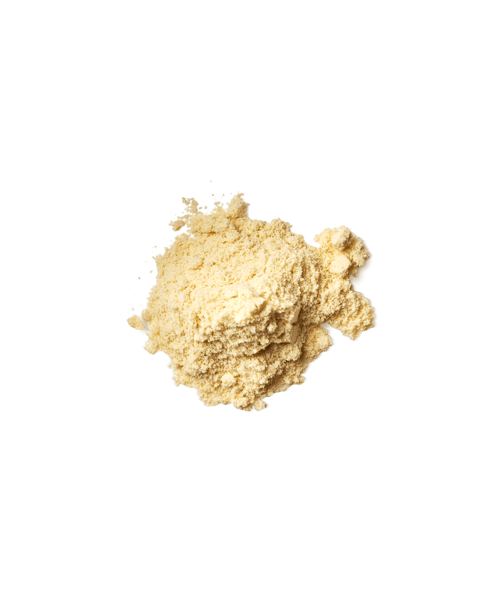 Vegan Protein Powder | French Vanilla - Echo Market