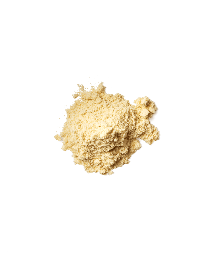 Vegan Protein Powder | French Vanilla - Echo Market