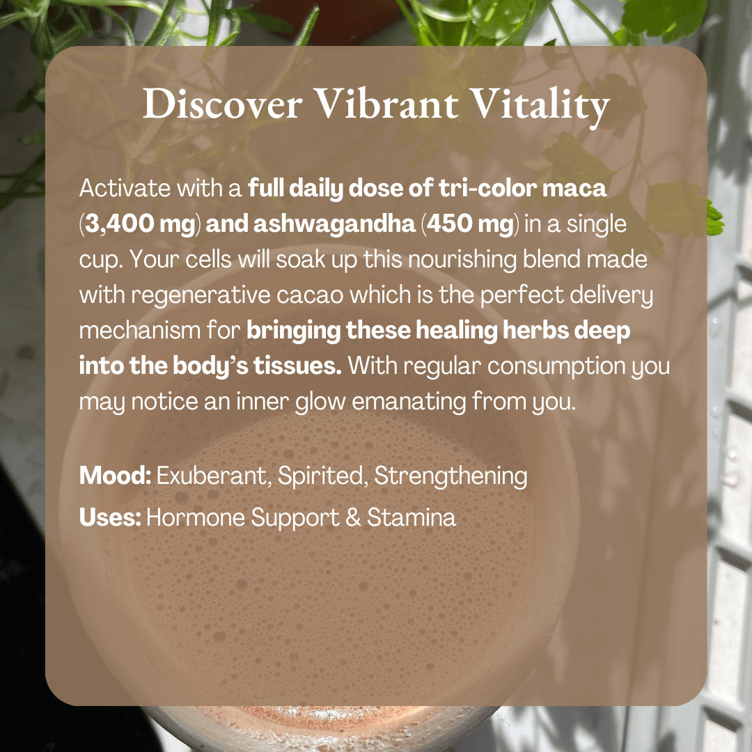 Vibrant Vitality Cacao | Organic Ceremonial Chocolate - Echo Market