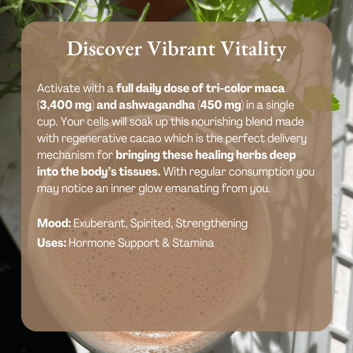 Vibrant Vitality Cacao | Organic Ceremonial Chocolate - Echo Market