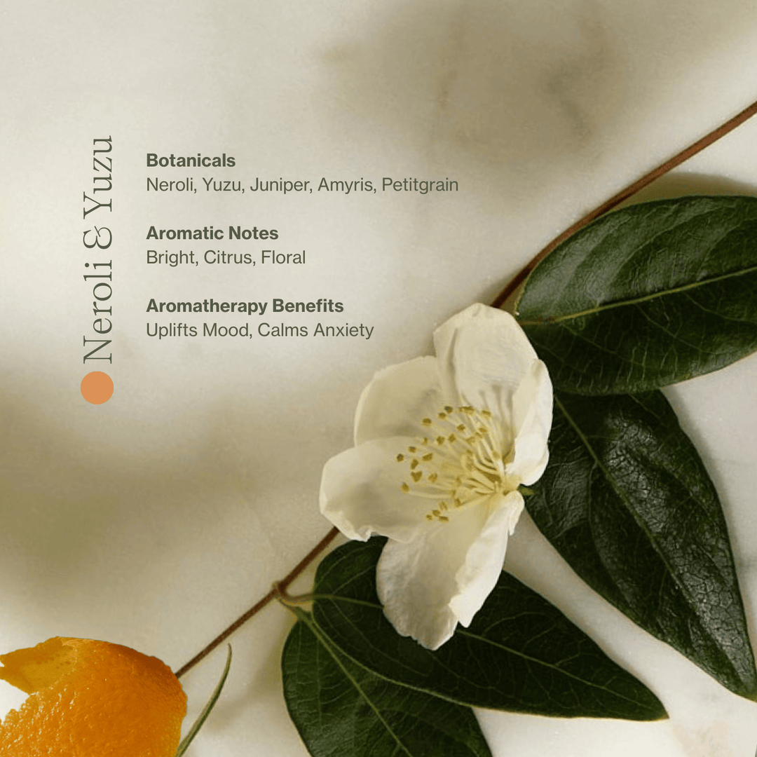 Vitamin C Body Oil - Echo Market