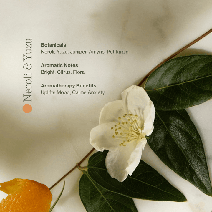 Vitamin C Body Oil - Echo Market