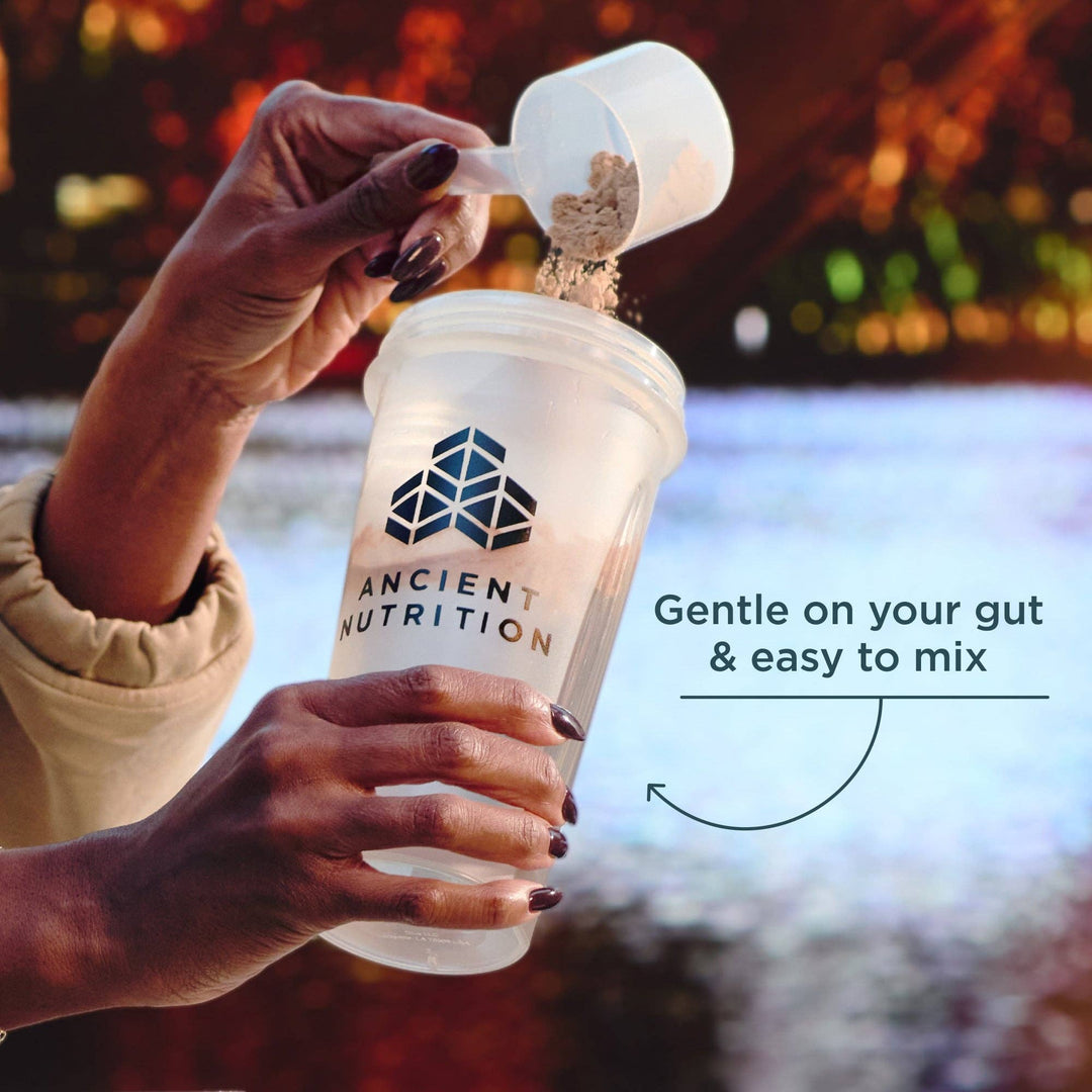 Whey Protein | Chocolate Peanut Butter - Echo Market