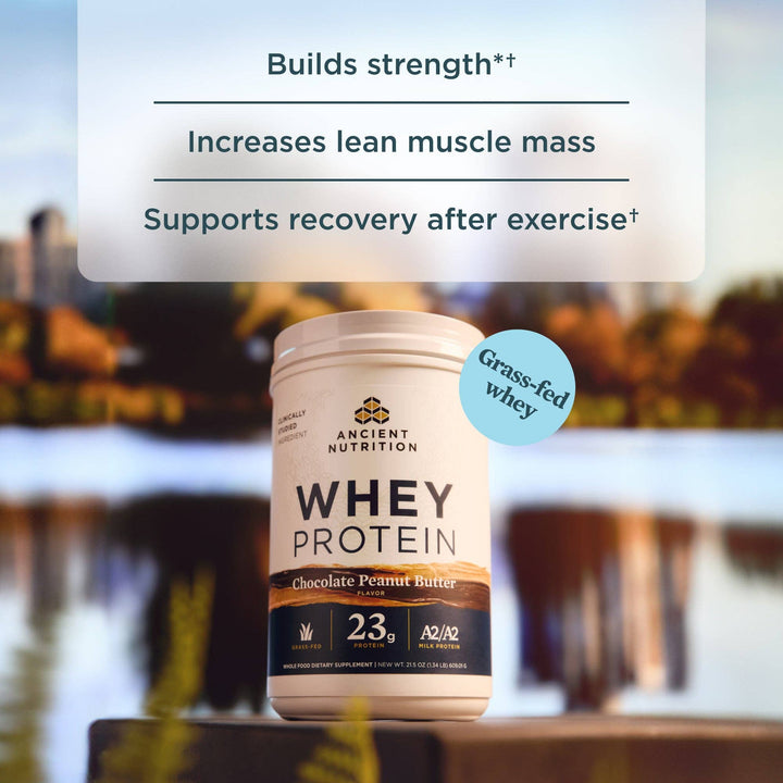 Whey Protein | Chocolate Peanut Butter - Echo Market