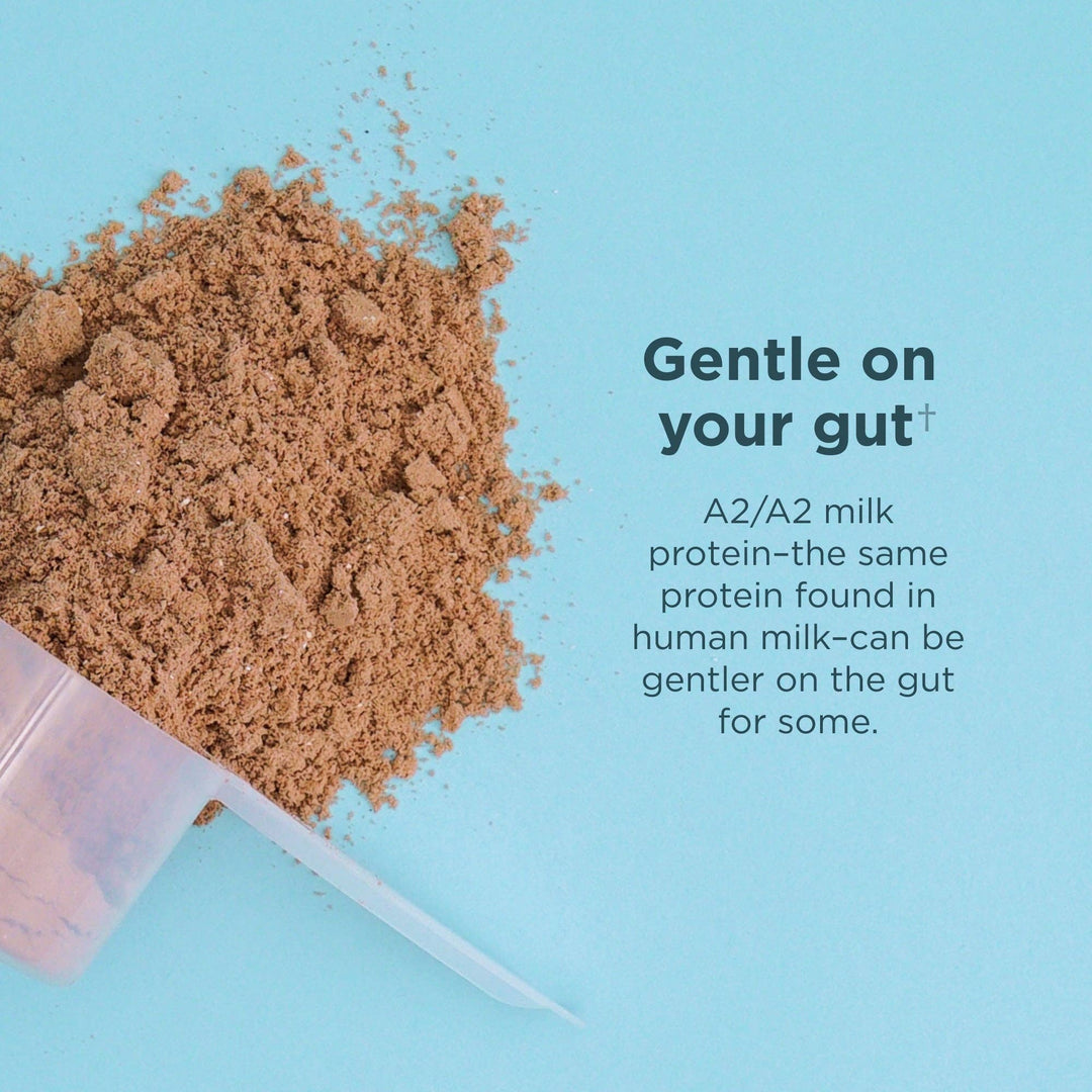 Whey Protein | Chocolate Peanut Butter - Echo Market