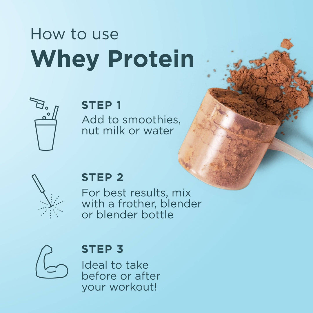Whey Protein | Chocolate Peanut Butter - Echo Market
