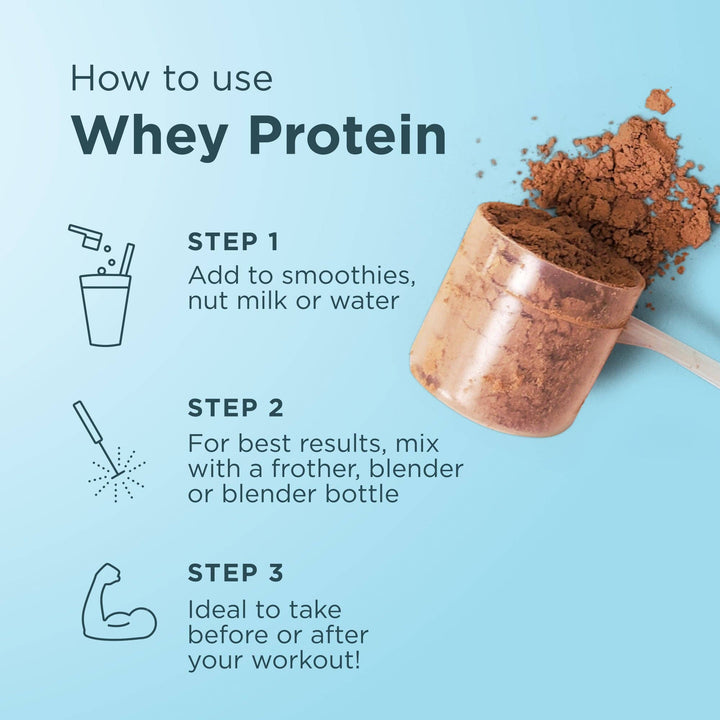 Whey Protein | Chocolate Peanut Butter - Echo Market