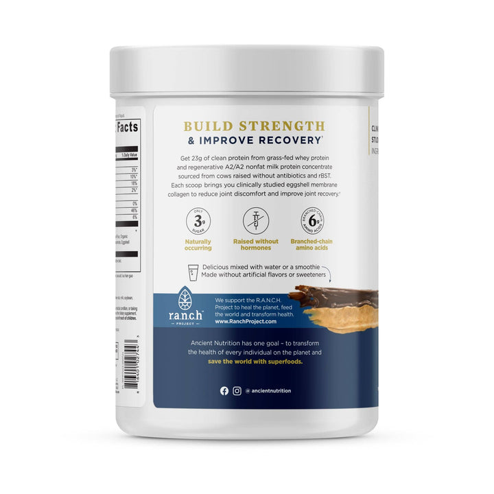 Whey Protein | Chocolate Peanut Butter - Echo Market