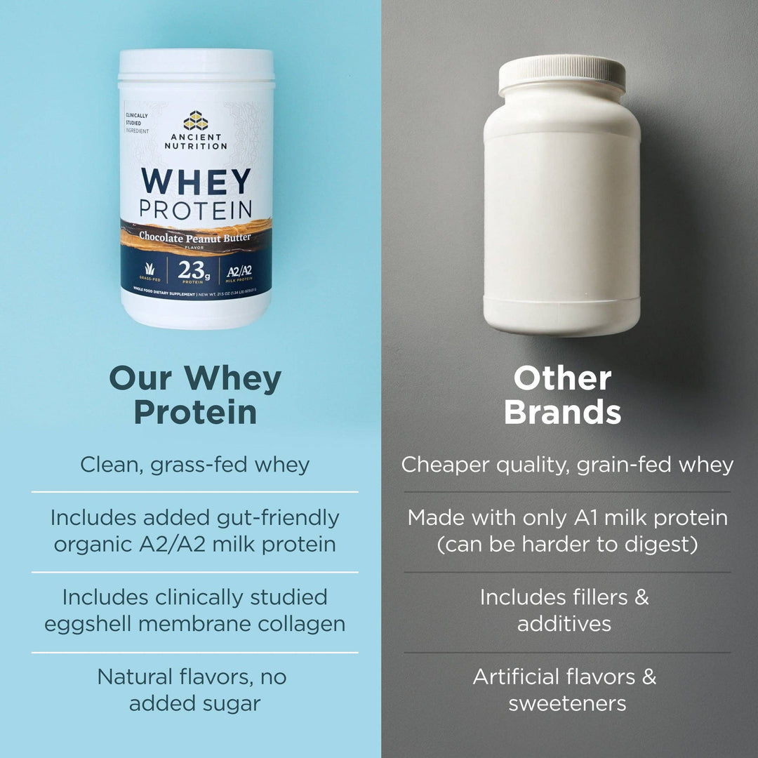 Whey Protein | Chocolate Peanut Butter - Echo Market