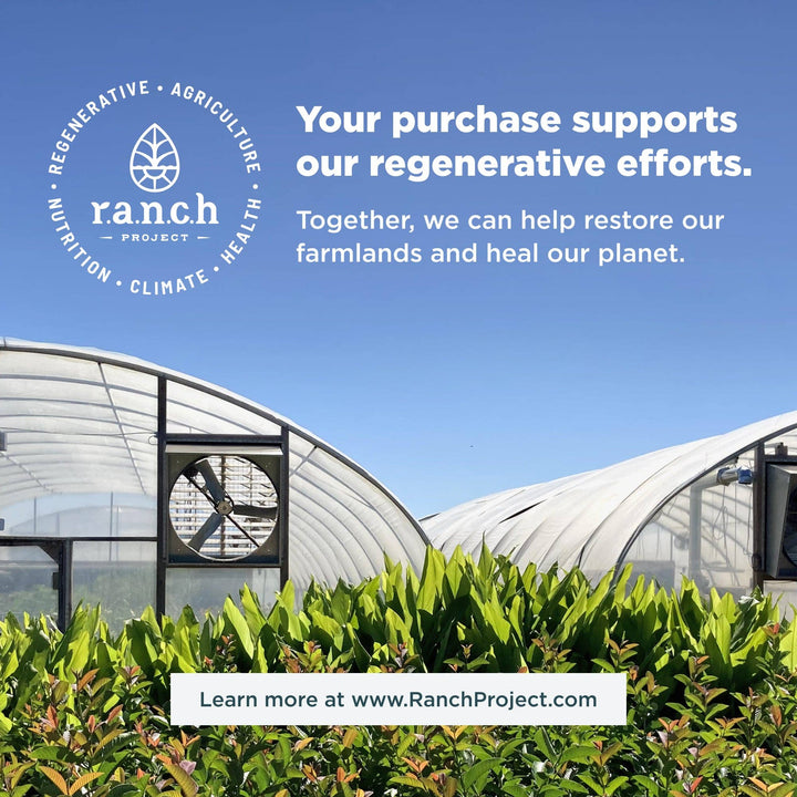 Whey Protein | Chocolate Peanut Butter - Echo Market