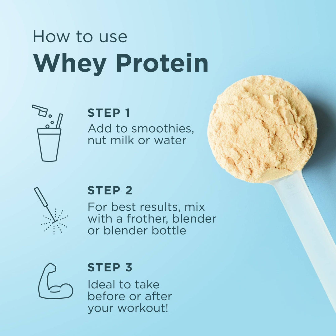 Whey Protein | Vanilla Bean - Echo Market