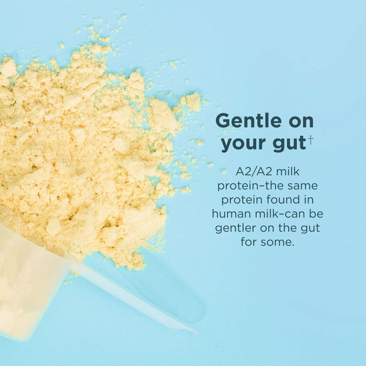 Whey Protein | Vanilla Bean - Echo Market