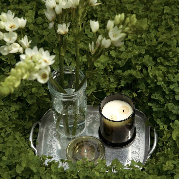Wild Bergamot Candle - Echo Market
