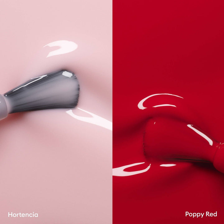 Xtrem Flash™ Routine Kit | Hortencia &amp; Poppy Red - Echo Market