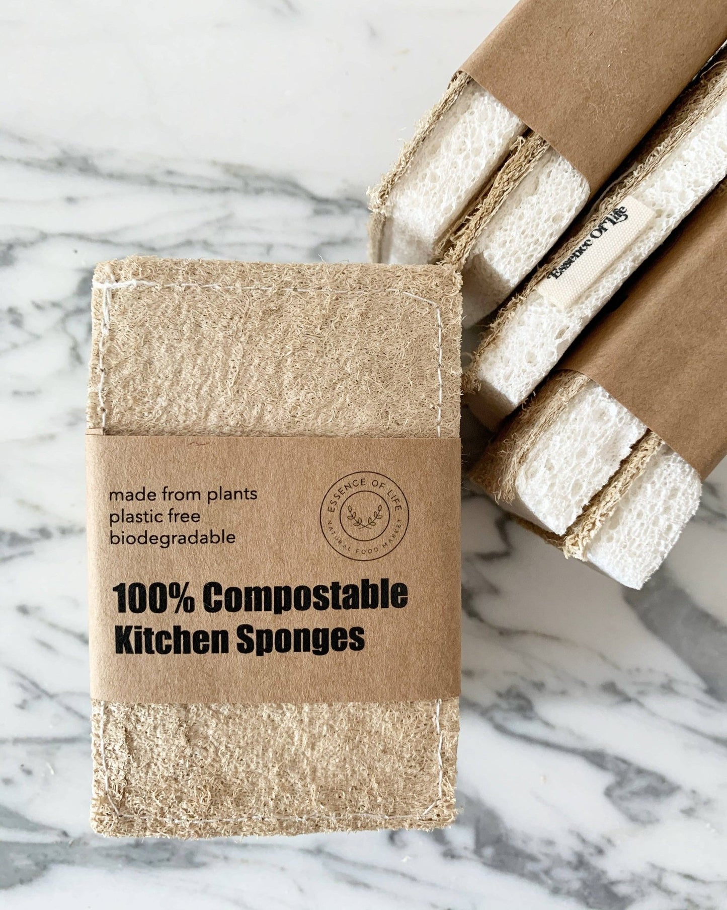 100% Compostable Kitchen Sponges, 2 pack - Echo Market