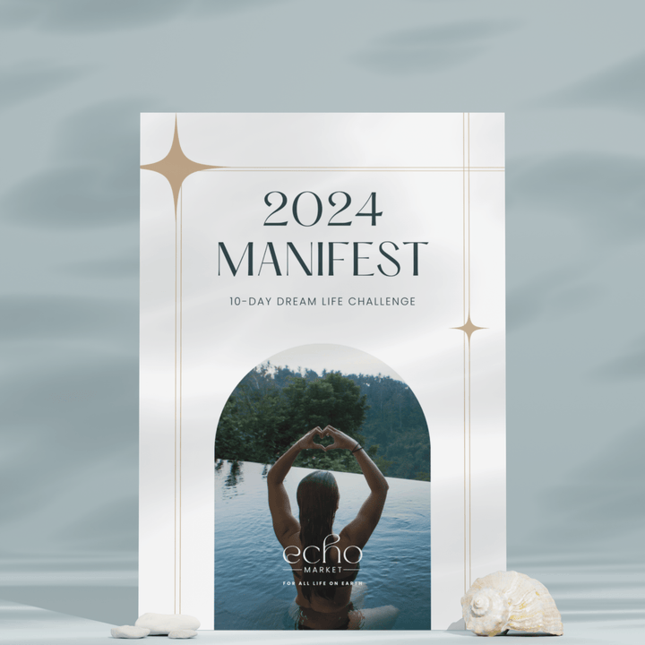 2024 Manifest: 10-Day Dream Life Workbook - Echo Market