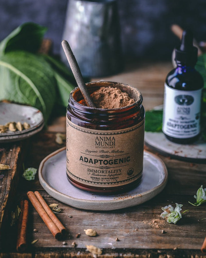 Adaptogenic Immortality Powder: 7 Mushrooms + Heirloom Cacao - Echo Market