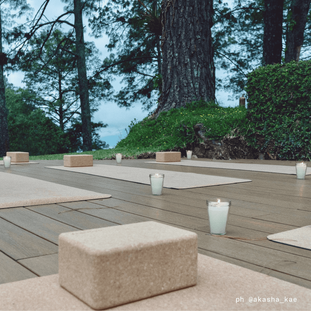 Ananday Cork Yoga Mat - Echo Market