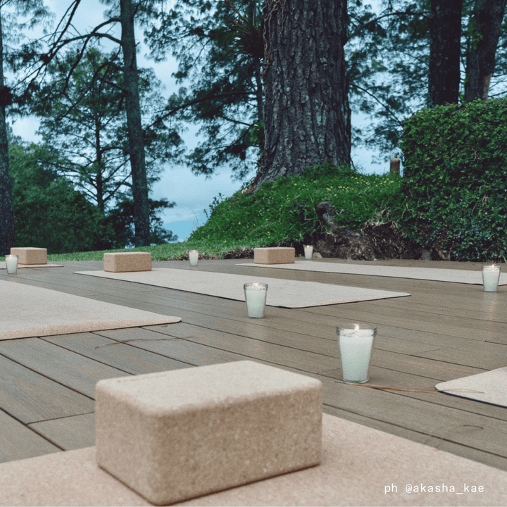 Ananday Cork Yoga Mat - Echo Market