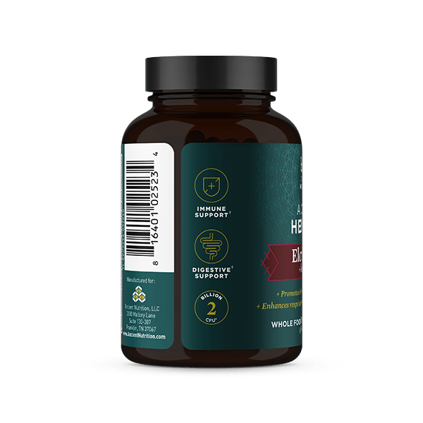 Ancient Herbals: Elderberry + Probiotics - Echo Market