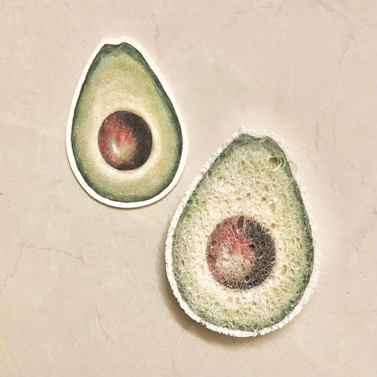 Avocado Pop Up Sponge - Echo Market