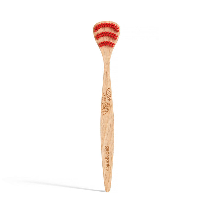 Beechwood Tonguebrush - Echo Market