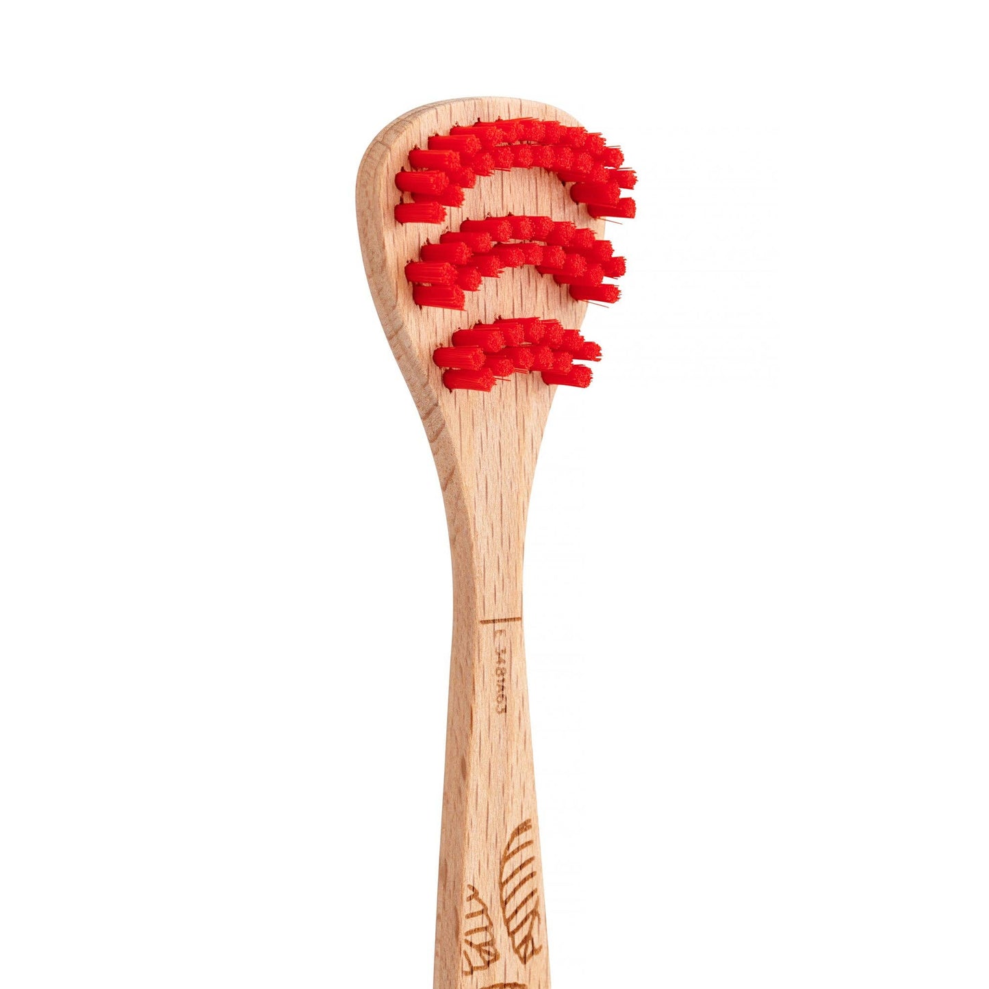 Beechwood Tonguebrush - Echo Market