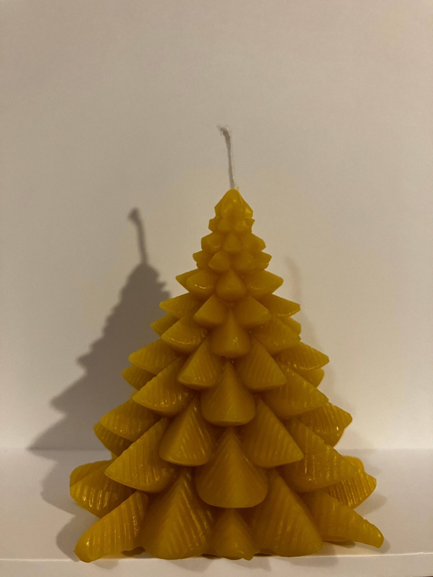Beeswax Tree Candle IV - Echo Market