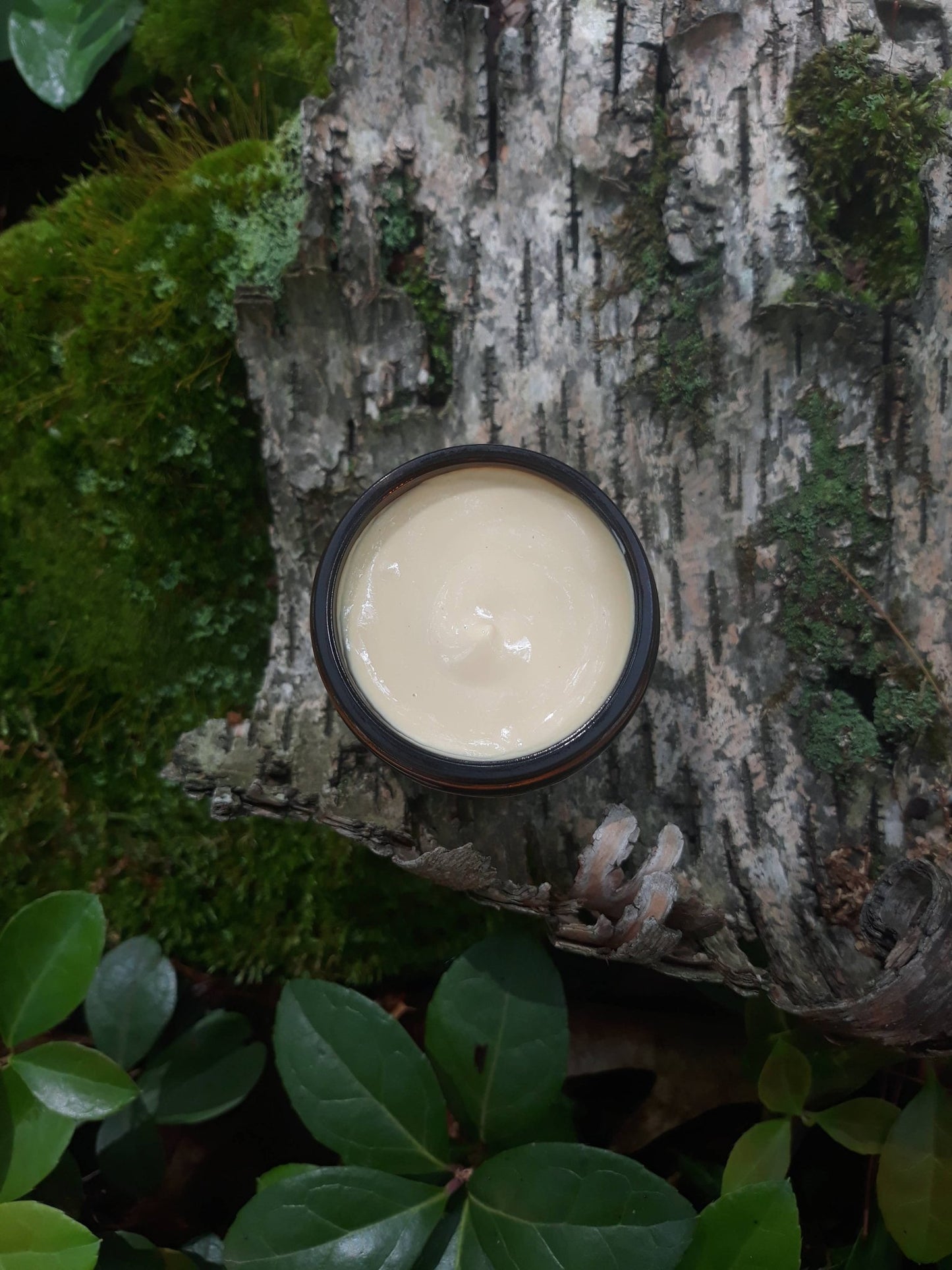 Birch Blessings Symbiotic Facial Cream - Echo Market