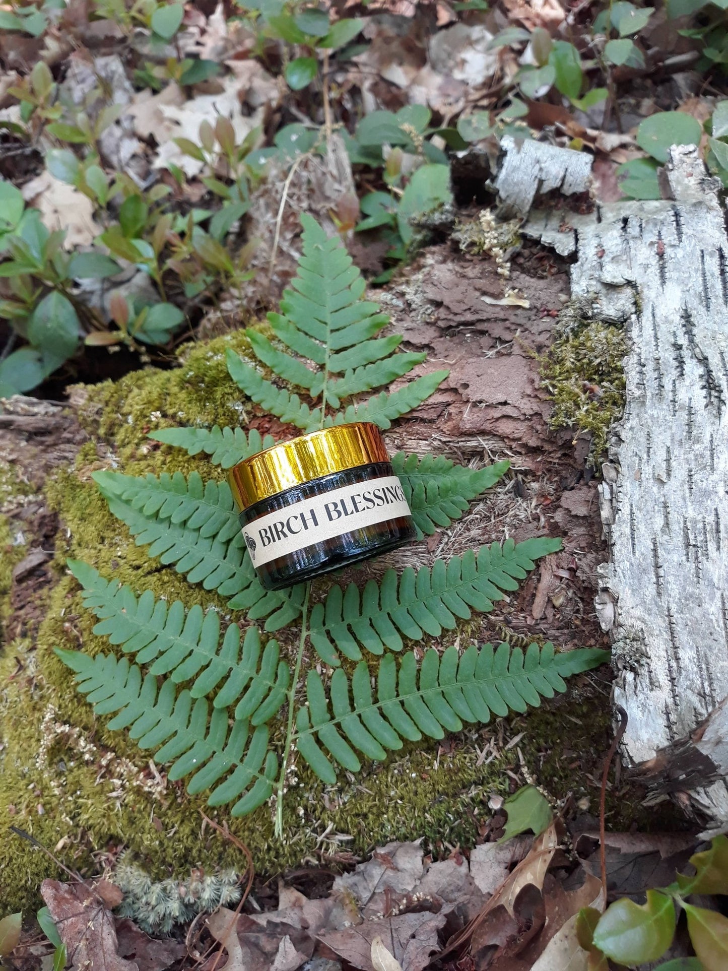Birch Blessings Symbiotic Facial Cream - Echo Market