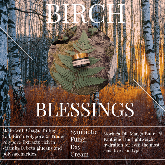 Load image into Gallery viewer, Birch Blessings Symbiotic Facial Cream - Echo Market
