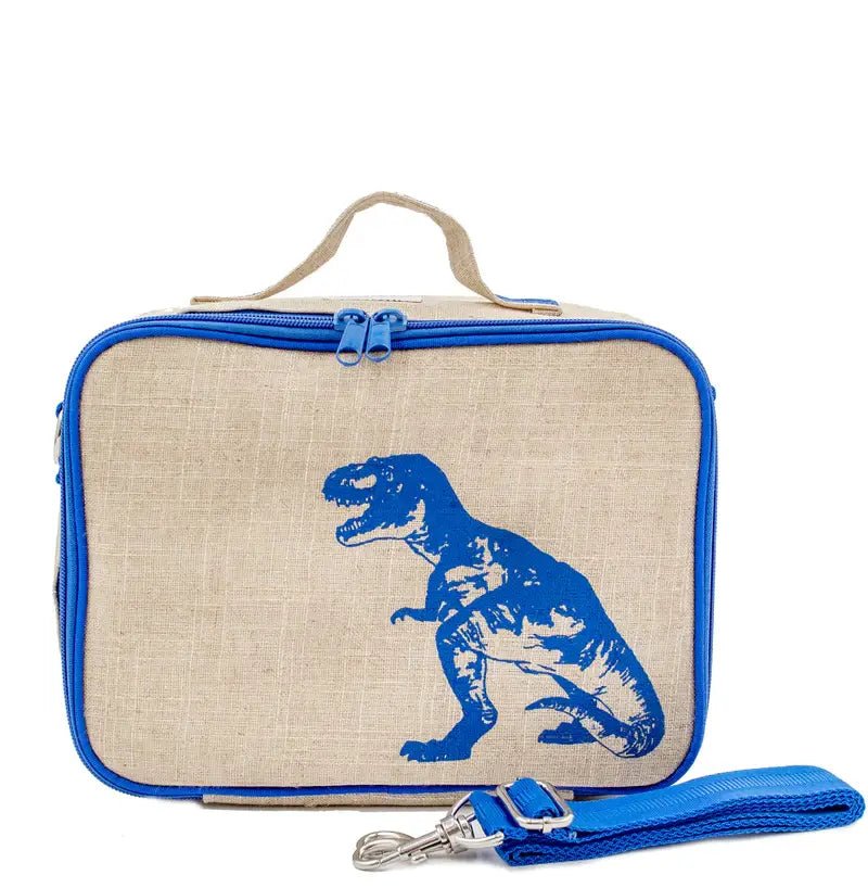 Blue Dino Lunch Box for Kids - Echo Market