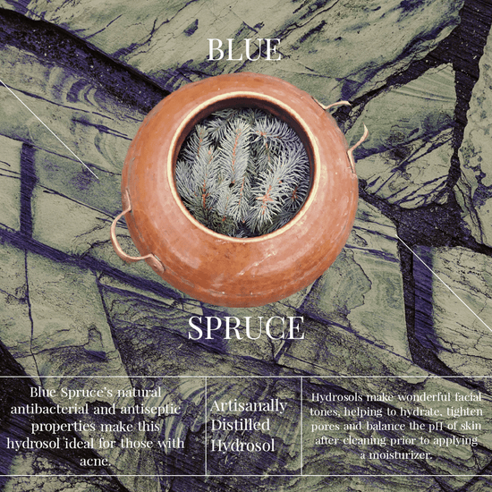 Blue Spruce Hydrosol - Echo Market